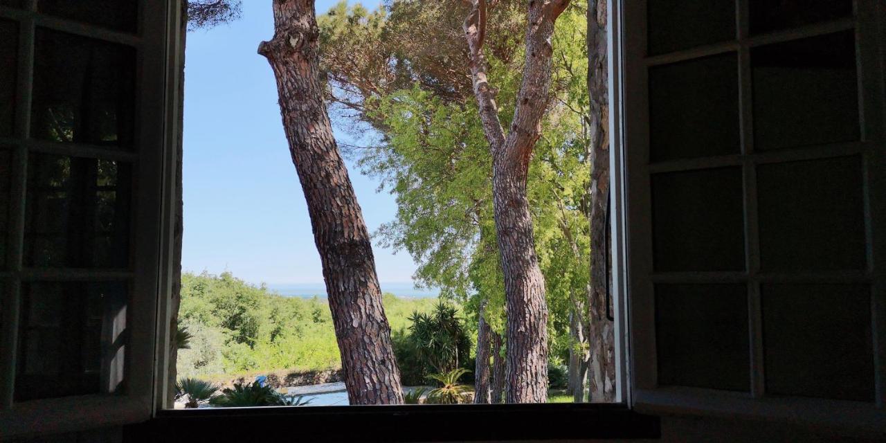 Mas Senyarich Villa Argelès-sur-Mer Dış mekan fotoğraf