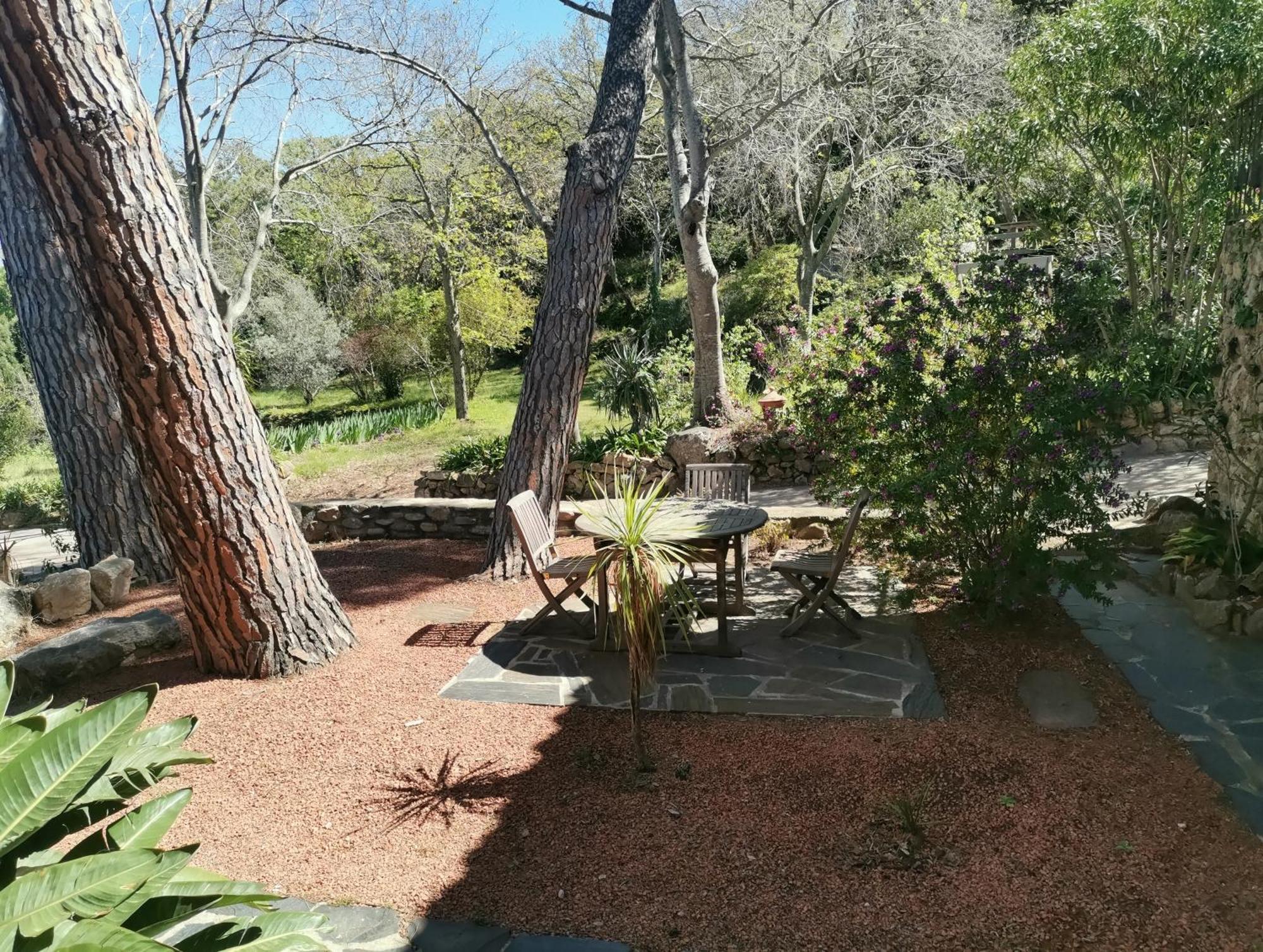 Mas Senyarich Villa Argelès-sur-Mer Dış mekan fotoğraf